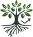 Olives Stocks Logo